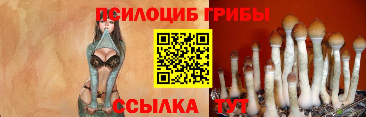 Галлюциногенные грибы GOLDEN TEACHER  Псилоцибиновые грибы Magic Shrooms  Вход с VPN  Абинск 